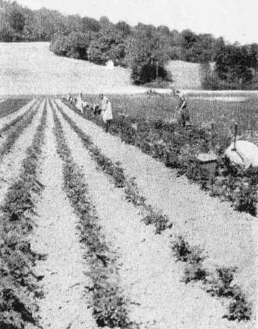 Heimgarten