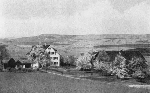 Dielsdorf. «Burghof»