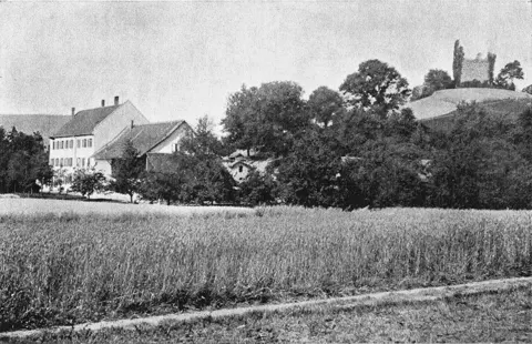 Rorbas. «Freienstein»