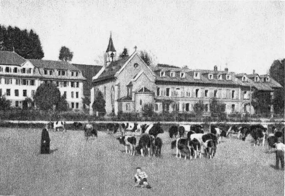 Drognens, Institut St-Nicolas